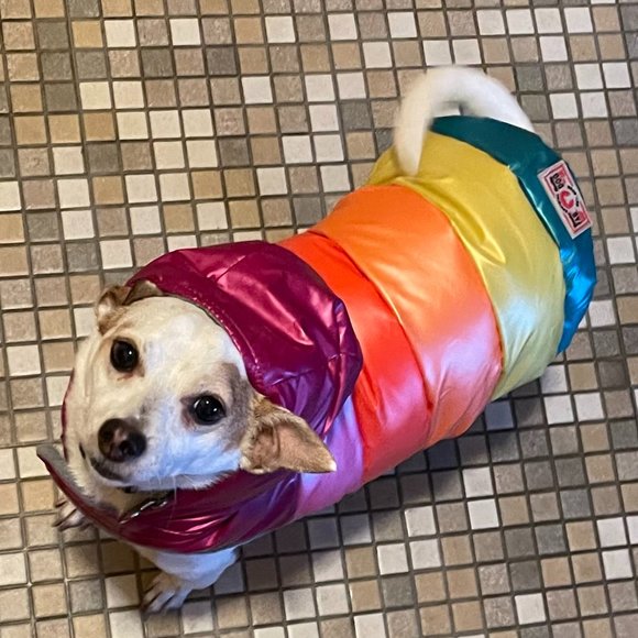 Meet your Posher, Crystal - Picture 2 of 4